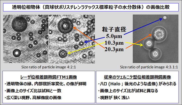 透明位相物体（真球状ポリスチレンラテックス標準粒子の水分散体）の位相差顕微鏡画像の比較